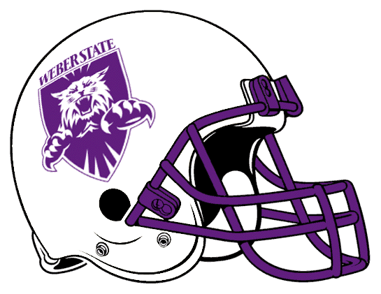 Weber State Wildcats 2001-2005 Helmet Logo t shirts DIY iron ons